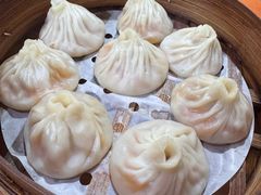 -莱莱小笼·乔艾