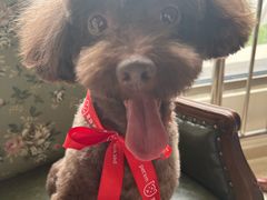 -宠物家(大兴旧宫店)