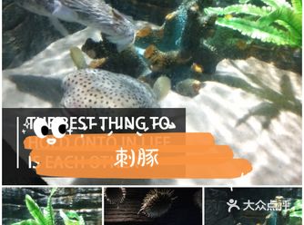 「南宁海底世界」 来一场视觉的体验，浪漫不过海洋世界