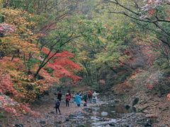 -关门山森林公园