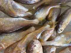 -浪琴湾尾角仔海鲜坊