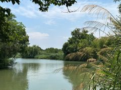 -西溪国家湿地公园