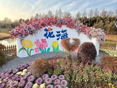 -荷兰花海