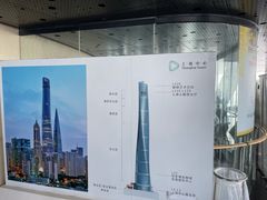 -上海中心大厦