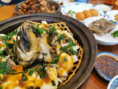 九层塔焗龙胆石斑-林四喜·闽南传家菜(鼓浪屿店)