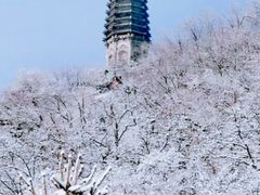 -高尔山公园