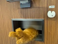 -大悦城(沈阳中街店)