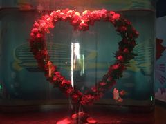 -北戴河圣蓝海洋公园