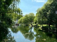 -上海共青森林公园