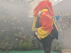 -龙江大舞台旗舰店