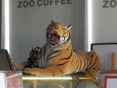 -ZOO COFFEE 动物园咖啡(亦庄店)