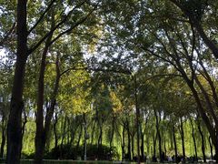 -长春公园(普阳街道)