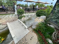 -蘇河湾·新鲁菜·泰山宴(泰山店)