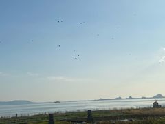 -苏州太湖国际会议中心