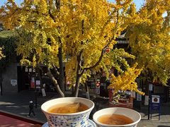 -奇芳阁·百年清真南京菜(夫子庙店)