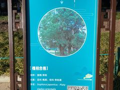 -北京市劳动人民文化宫(太庙)