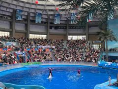 -海合安成都极地海洋公园