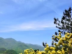 -大余丫山旅游度假区