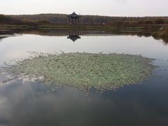 -塞罕坝国家级自然保护区