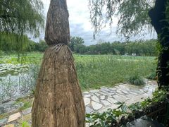 -三忘湖 SWANSEEN(柳荫公园店)