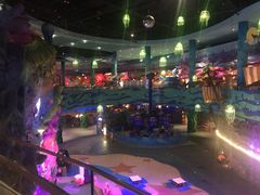 -青岛嘉年华主题乐园