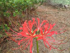 -江南大学(蠡湖校区)