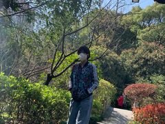 -杭州半山国家森林公园