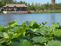 -西海子公园