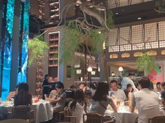 -桂满陇·海市蜃楼·黑金(国金店)