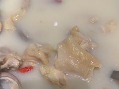 -捞王猪肚鸡火锅(财富中心店)