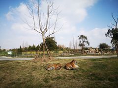 -上海野生动物园