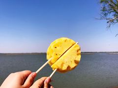 -卧龙湖