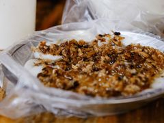 -共和老洪豆花草粿水粿