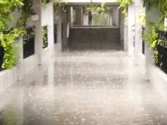 -葛记焖饼(伏牛路店)