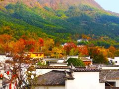 -塔川景区