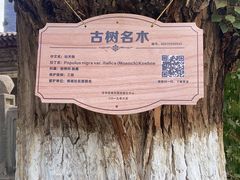 -张掖大佛寺景区