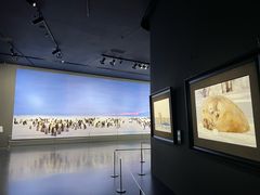 -罗红摄影艺术馆