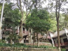 -严子陵钓台(富春江小三峡)