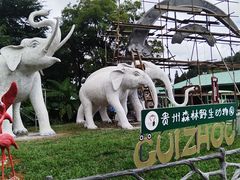 -贵州森林野生动物园