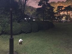 -西湖天地