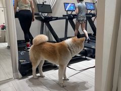 -YCHL Studios健身工作室(市二宫店)
