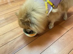-美联众合动物医院·24h京西诊疗中心