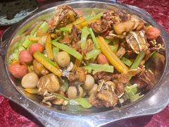 干锅牛蛙-馋嘴蛙火锅