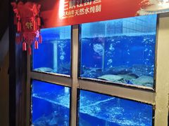 水产区-老阿爸鲜鱼土菜(昆山花桥店)