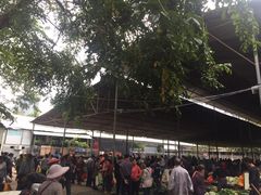 -鸿港海鲜批发市场