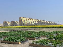 -中国天府农业博览园