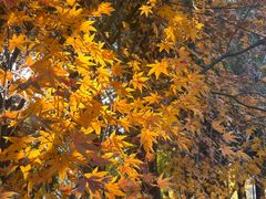 -梁鸿国家湿地公园