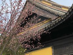 -常熟方塔园