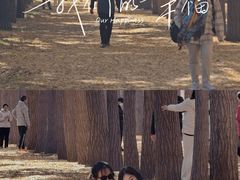 -钓鱼台国宾馆