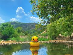 -武汉姚家山旅游景区